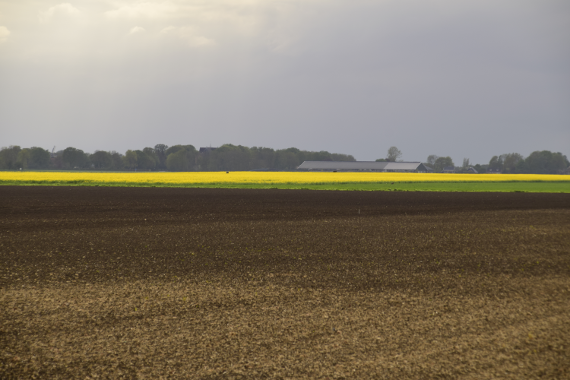 Koolzoad en links de Westerse in de verte ..