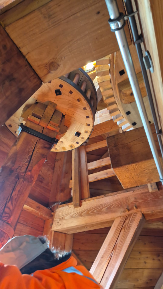 Rondsel mooi vrij van het takrad